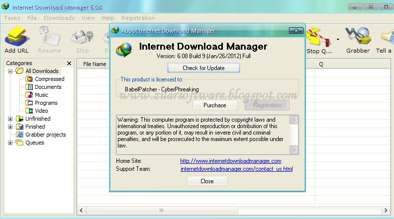 download torrent file with idm 2012 nissan